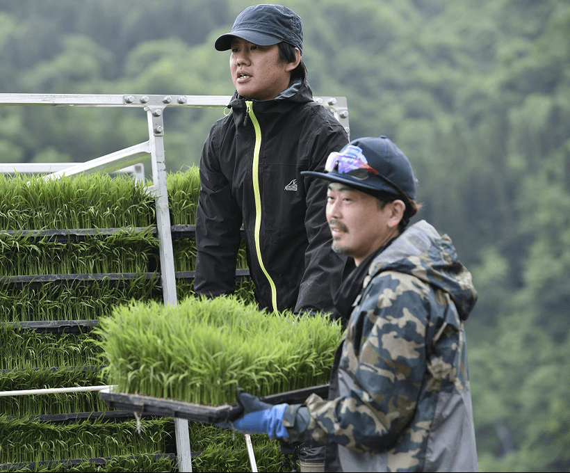 株式会社紀之介