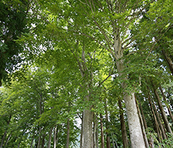 津南町の風土