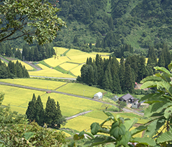 津南町の風土