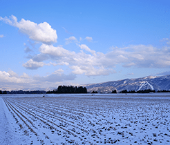 津南町の風土